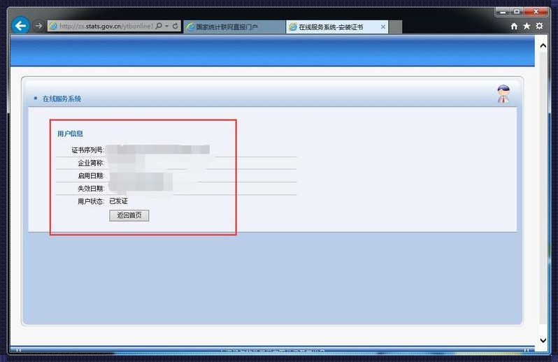 统计局直报平台登录不进去的破解之道