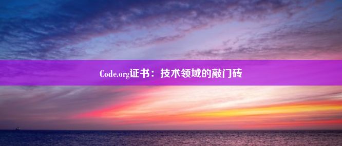 Code.org证书：技术领域的敲门砖