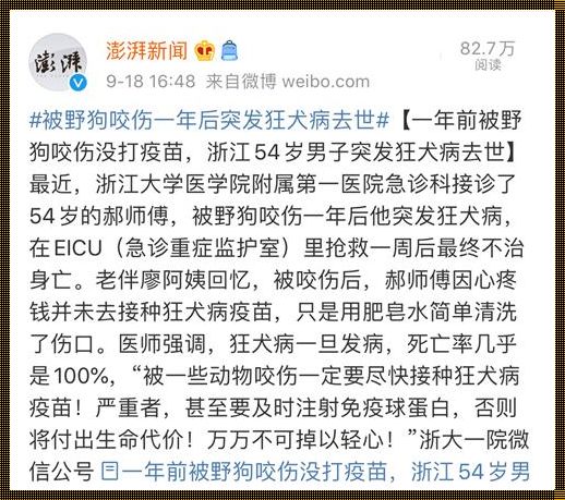 中国发生过猫咬狂犬病吗？揭秘历史真相