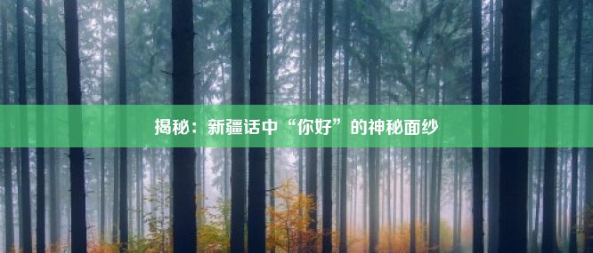 揭秘：新疆话中“你好”的神秘面纱