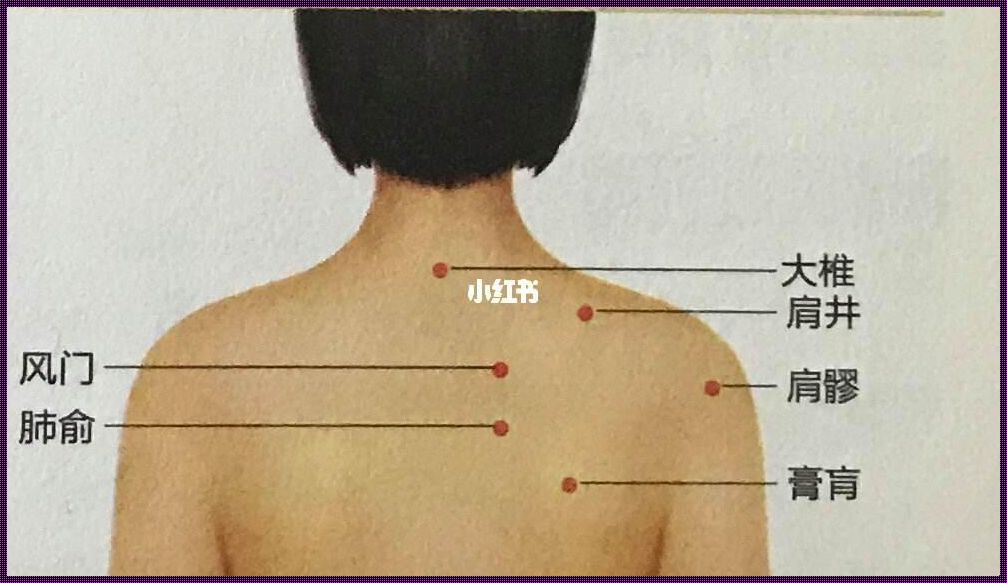 肺热咳嗽拔罐位置图解析与实践指南