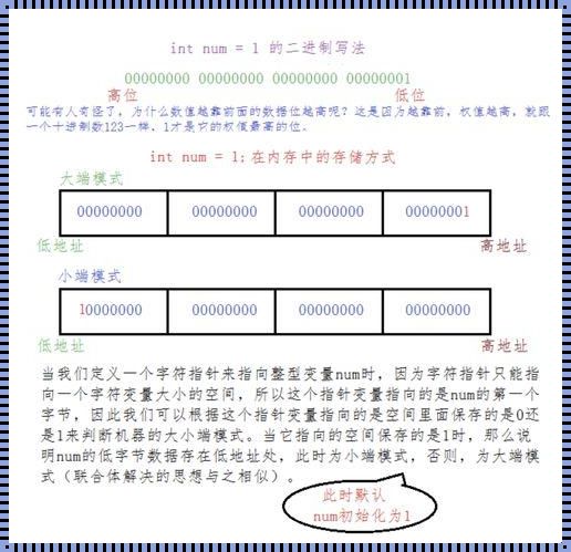 探秘int：计算机世界的神秘语言