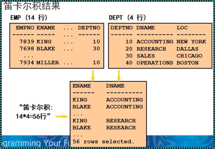 SQL数据库多表连接：技术中的惊现