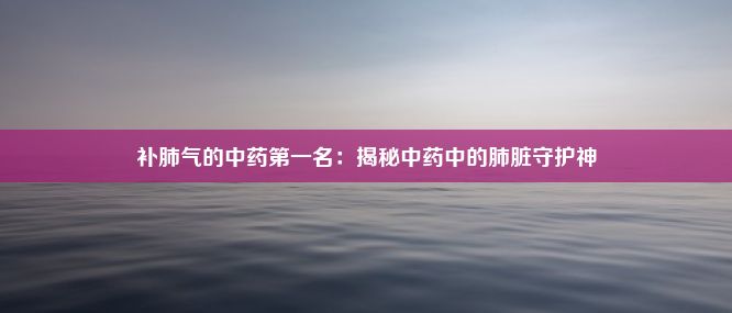 补肺气的中药第一名：揭秘中药中的肺脏守护神