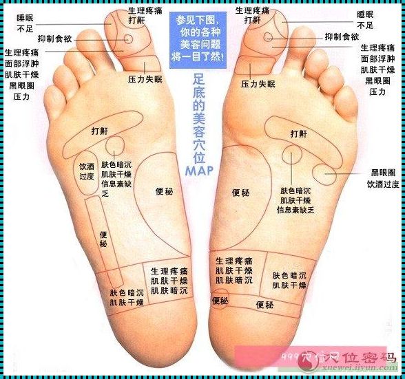 脚掌疼痛部位对照表：深度解析与探究