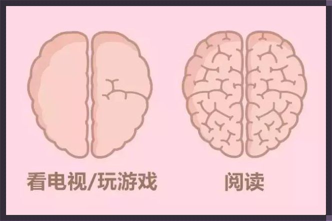 大脑跟傻子一样：揭秘人类智慧的神秘面纱