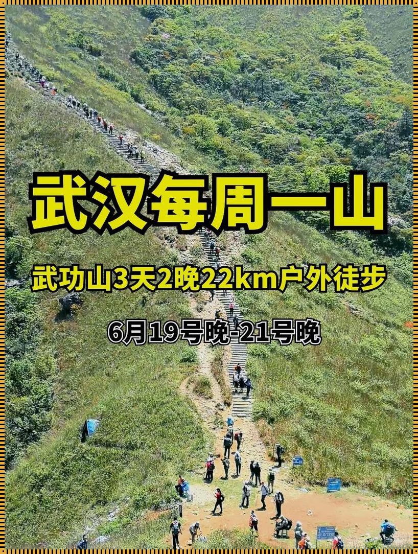 驴友网：揭开神秘面纱，探寻旅行新天地