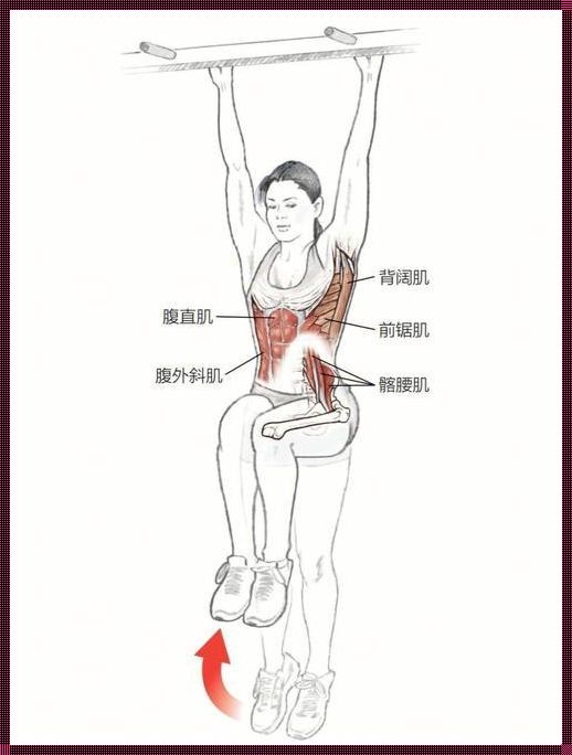 探索髂腰肌的神秘面纱：起止点与神奇作用