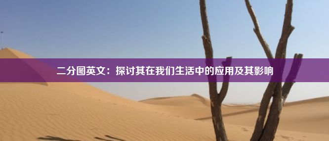 二分图英文：探讨其在我们生活中的应用及其影响