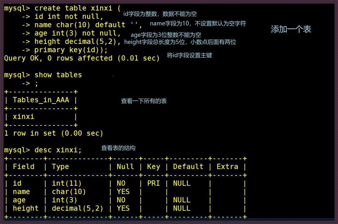 深入揭秘：如何优雅地踏入MySQL的数据海洋