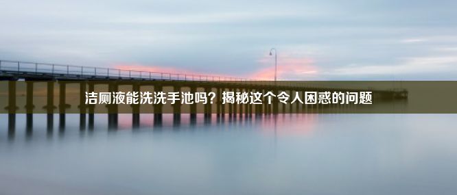 洁厕液能洗洗手池吗？揭秘这个令人困惑的问题