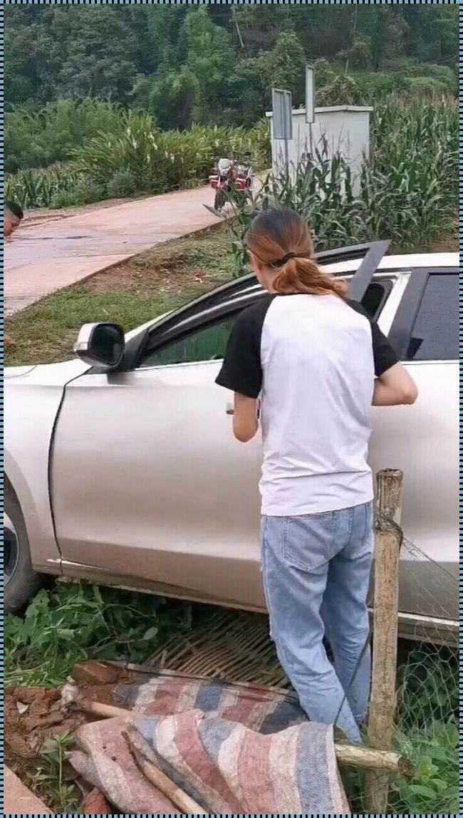 自己亲姐都不愿意借车：神秘背后的人性探讨