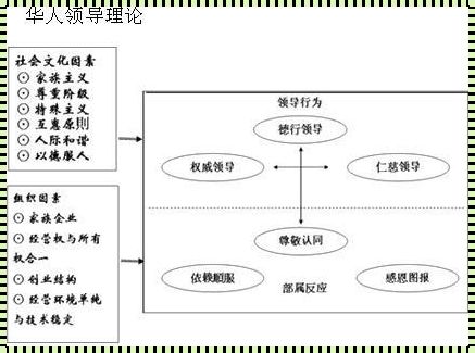 权变管理理论：应对不确定性的艺术