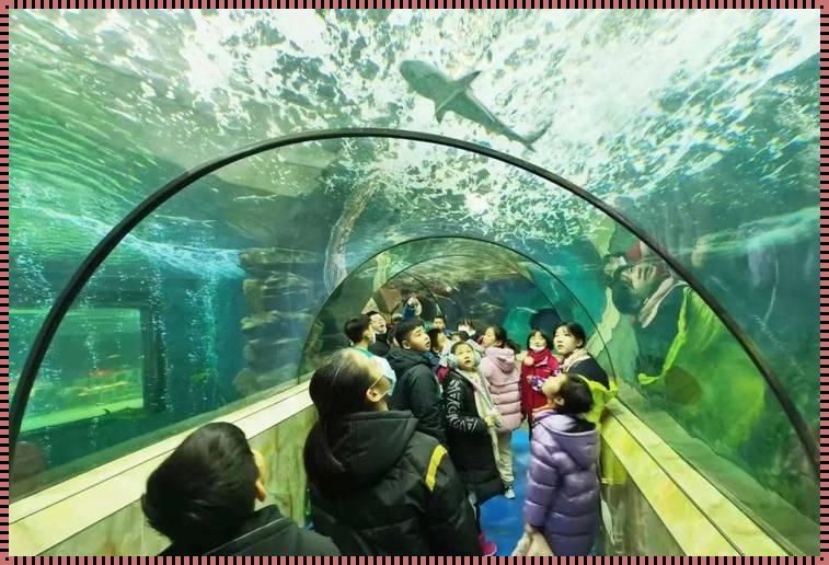 洛阳水族馆的景点介绍：惊现奇景