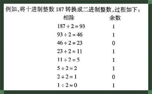 从十进制6到二进制的奇妙旅程：一位数字旅行者的遭遇