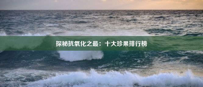 探秘抗氧化之最：十大珍果排行榜