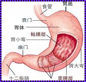 惊现胃痉挛！如何立马缓解？