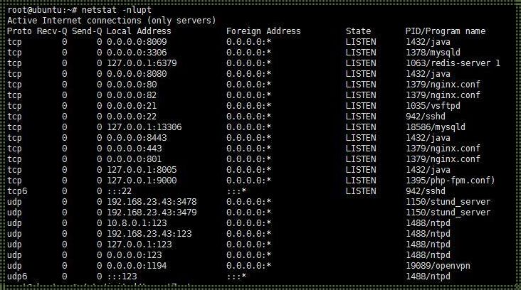 探索网络世界的秘密：netstat命令结果详解