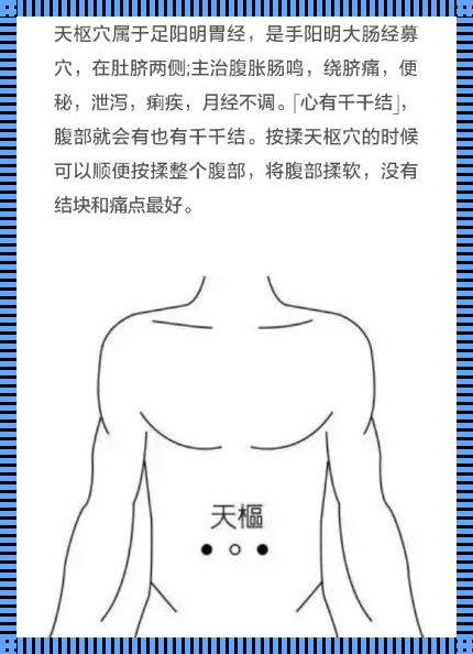 探秘天枢：人体的能量中枢