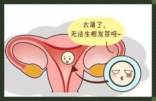 子宫多薄就不能生了：薄如蝉翼的生育危机