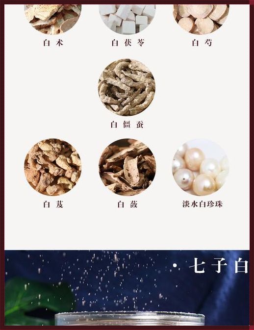 正宗七子白配方的独特魅力与培训精髓