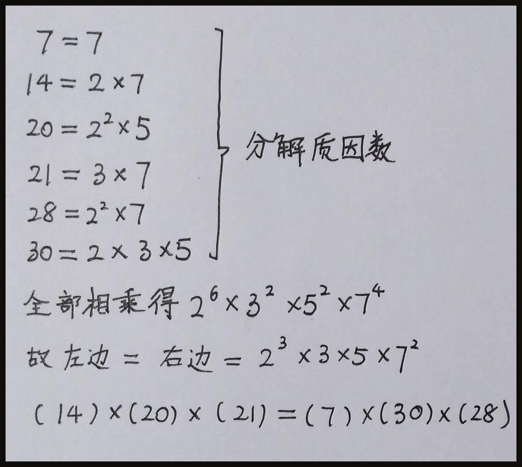 一年级添括号使等式成立：揭开数学的神秘面纱