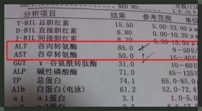 13岁肝功能不好怎么调理：全方位的神秘方案