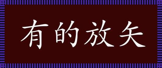 沟通的艺术：用成语“有的放矢”精准表达