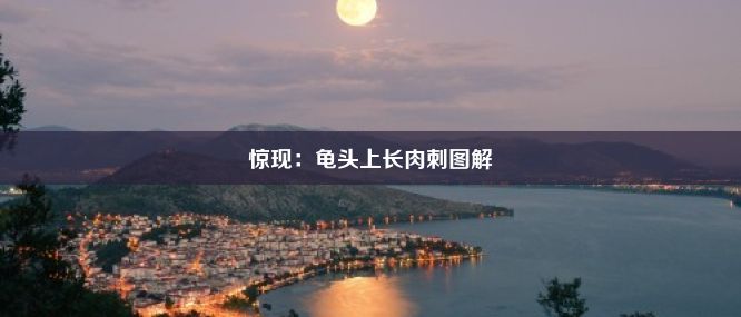 惊现：龟头上长肉刺图解