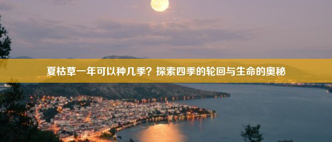 夏枯草一年可以种几季？探索四季的轮回与生命的奥秘