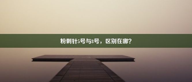 粉刺针5号与8号，区别在哪？