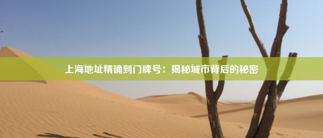 上海地址精确到门牌号：揭秘城市背后的秘密