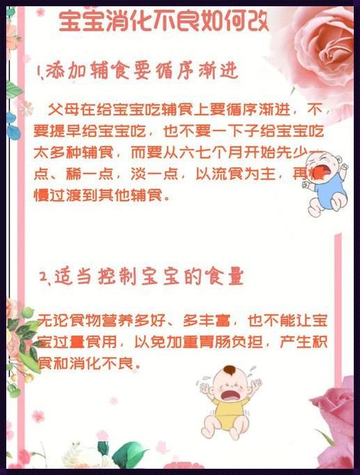 探秘性价比之道：如何改善婴儿消化不良