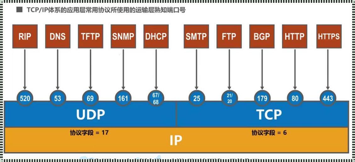 FTP端口20与21：网络传输背后的故事