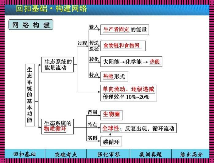 能量流动和物质循环的特点：自然界的舞动