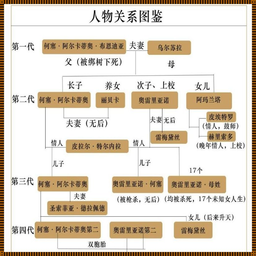 我的阿勒泰人物关系图：揭开神秘面纱