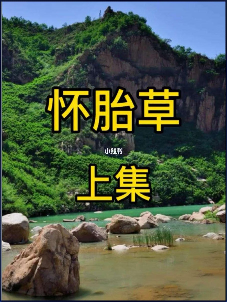 有什么草药吃可以流产：揭秘