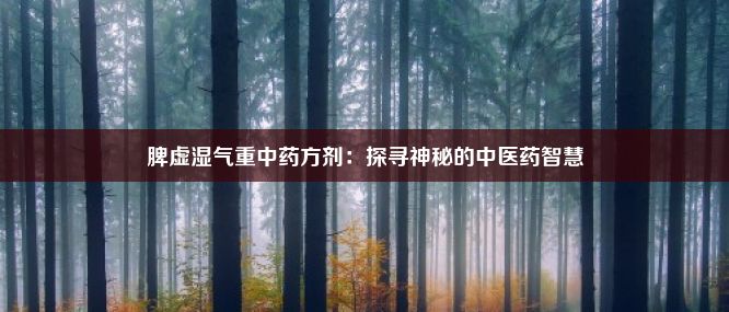 脾虚湿气重中药方剂：探寻神秘的中医药智慧