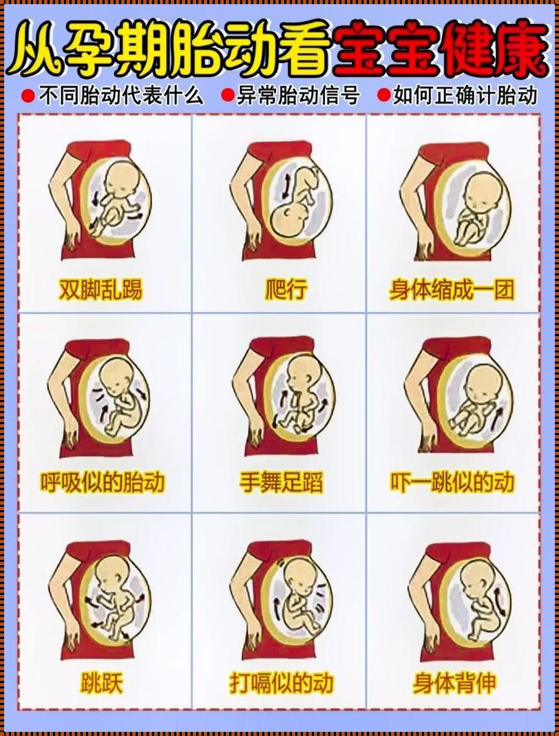 胎动有那种感觉：一场生命的律动