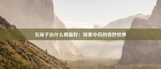 五味子治什么病最好：探索中药的奇妙世界