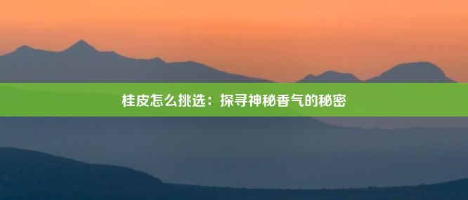 桂皮怎么挑选：探寻神秘香气的秘密