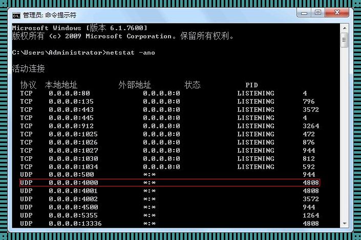  netstat查看端口占用：洞察网络灵魂的窗口