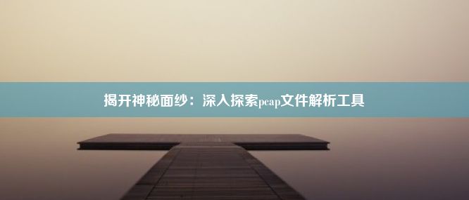 揭开神秘面纱：深入探索pcap文件解析工具