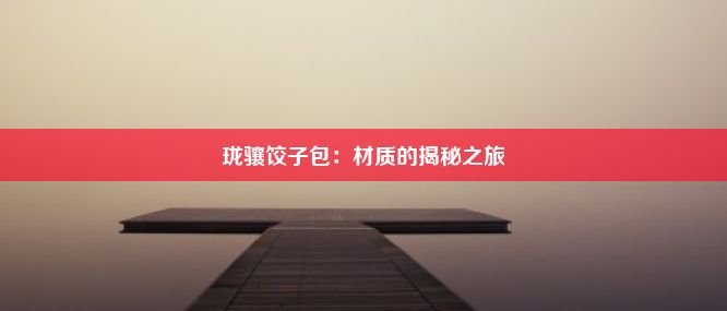 珑骧饺子包：材质的揭秘之旅