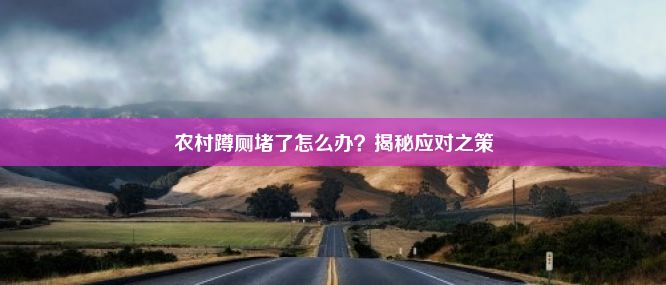 农村蹲厕堵了怎么办？揭秘应对之策