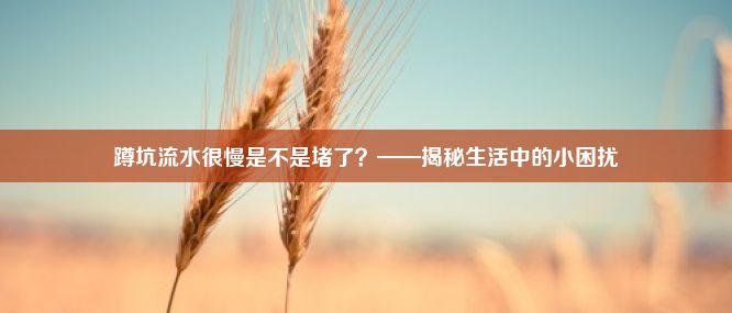 蹲坑流水很慢是不是堵了？——揭秘生活中的小困扰