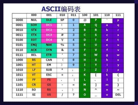 32位微型计算机中的32指的是