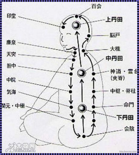 白鹤拳大概在岳麓山哪个位置