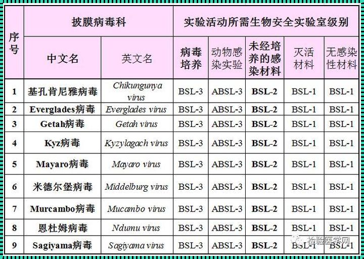 世界病毒排名等级：一场无声的战争