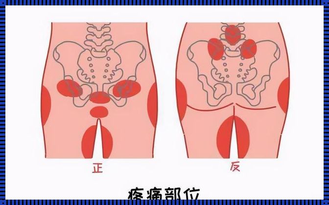 耻骨突出是什么风水：揭秘